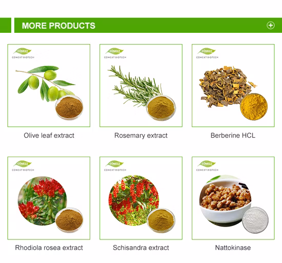 도매 공급 농축물 간장 배아 추출물 간장 이소플라본 분말